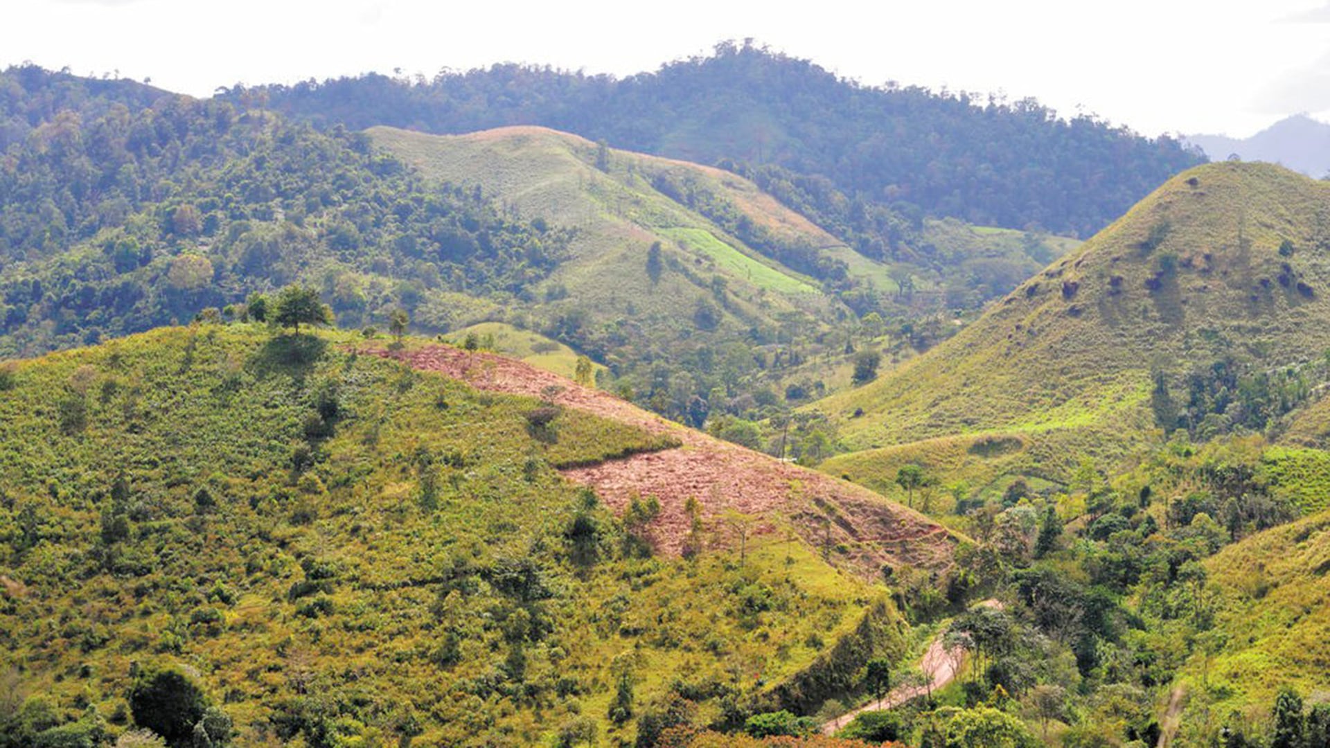 Pequeños productores de Nicaragua abandonan el cultivo tradicional y se vuelcan a la minería artesanal impulsados por la expansión de la Mina La India en León.(Cortesía de la Prensa)