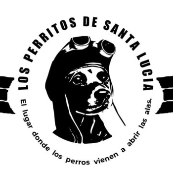 perritos