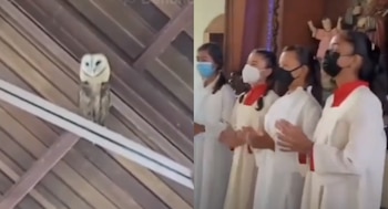 “Estamos de fiesta con Jesús,