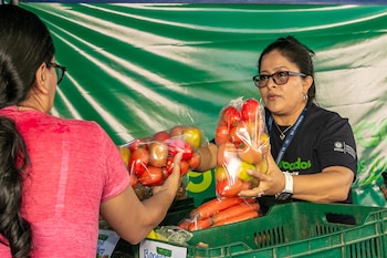 Los agromercados permiten a productores locales vender cosechas directamente y fortalecer la economía rural./(MAG)