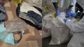 Cateo en Zapopan: fuerzas federales aseguran laboratorio de metanfetaminas y un kilo de fentanilo