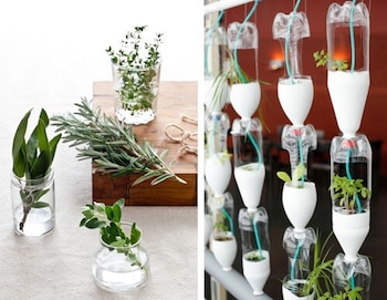 Pequeño jardín vertical instalado en