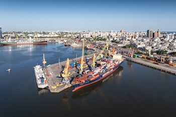 La situación vuelve a poner el foco sobre la regularidad de las operaciones contenerizadas y sobre la coordinación con los distintos actores que ingresan y salen de la terminal (Foto: Shutterstock)