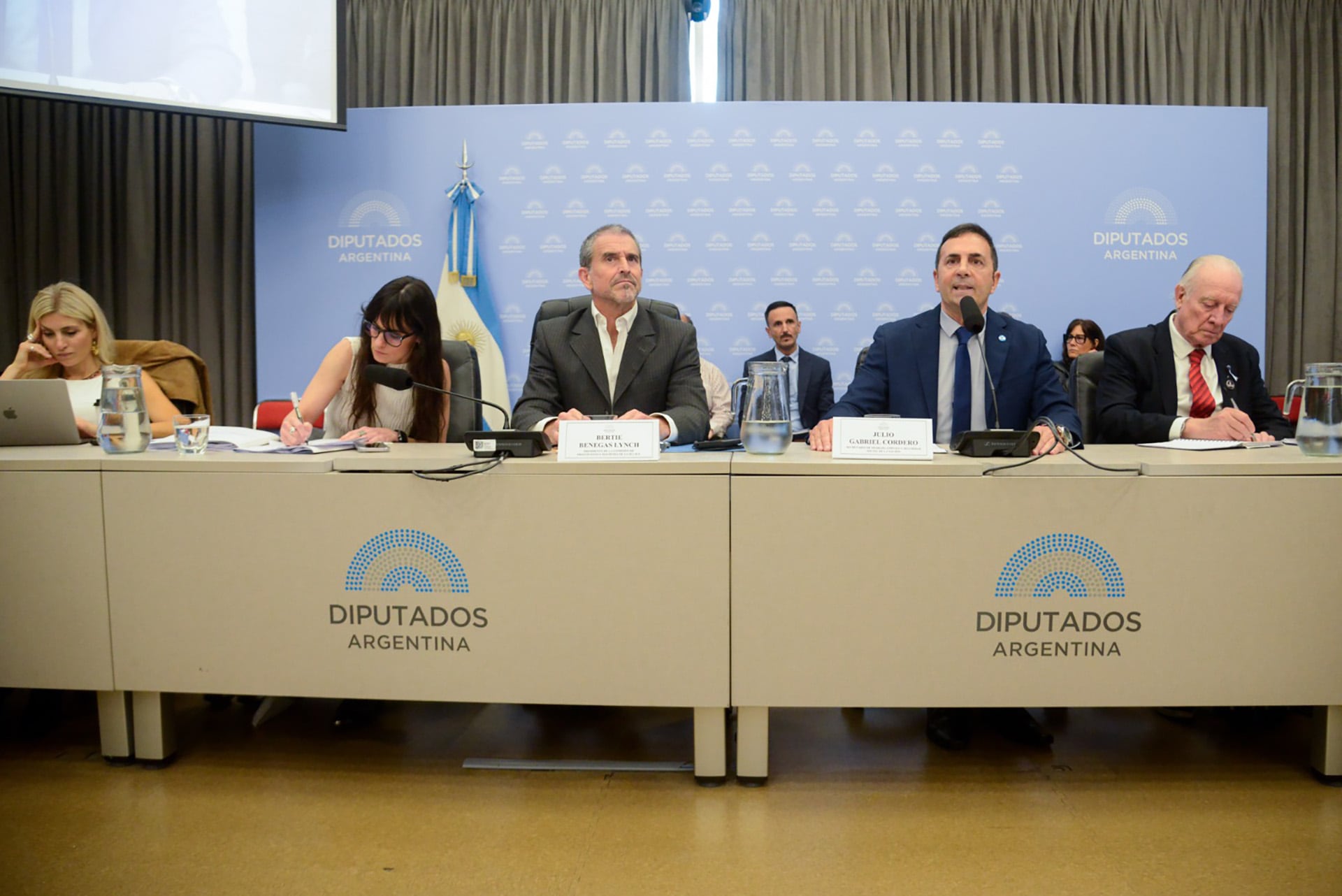 Debate en comisión por el presupuesto 2027, con la presencia de Julio Cordero, secretario de trabajo