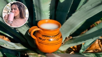 Española probó pulque sin saber