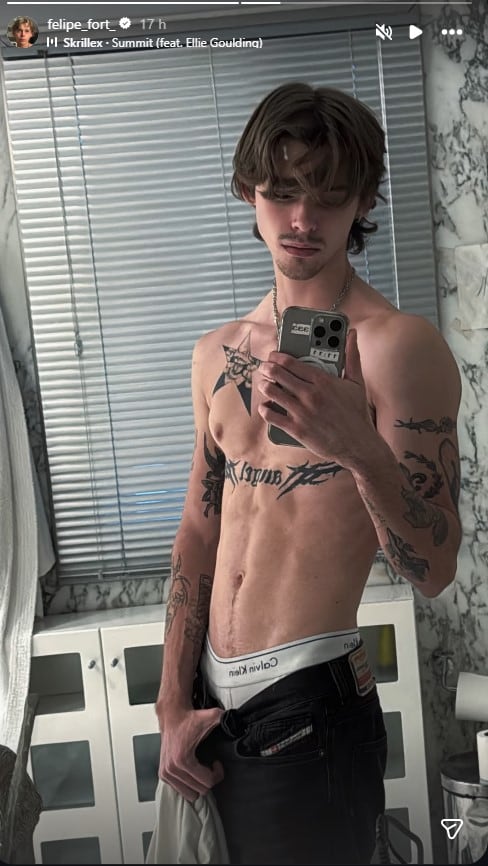 Felipe Fort se retrató frente al espejo y la imagen se volvió viral (Instagram)