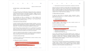 Reporte de roedores en el Mambo publicado por Brava News - crédito @paulabolivar/X