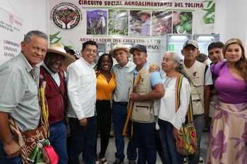 El circuito asociativo incluye varias