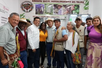 El circuito asociativo incluye varias
