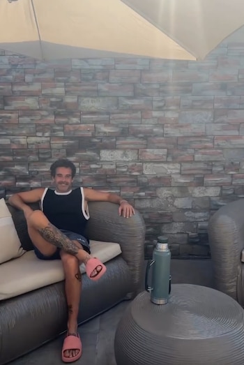 Cabré, cómodo, relajándose en el