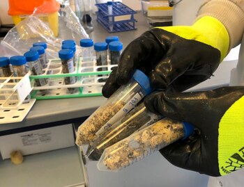 (University of Exeter via AP)