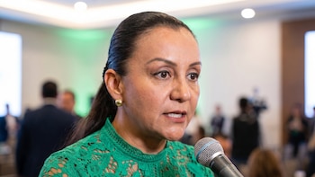 PVEM detiene en el Congreso la Ley General de Protección Animal: colectivo denuncia un año de retraso pese a foros y exigencias