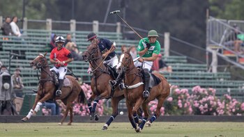 Las mejores imágenes de un