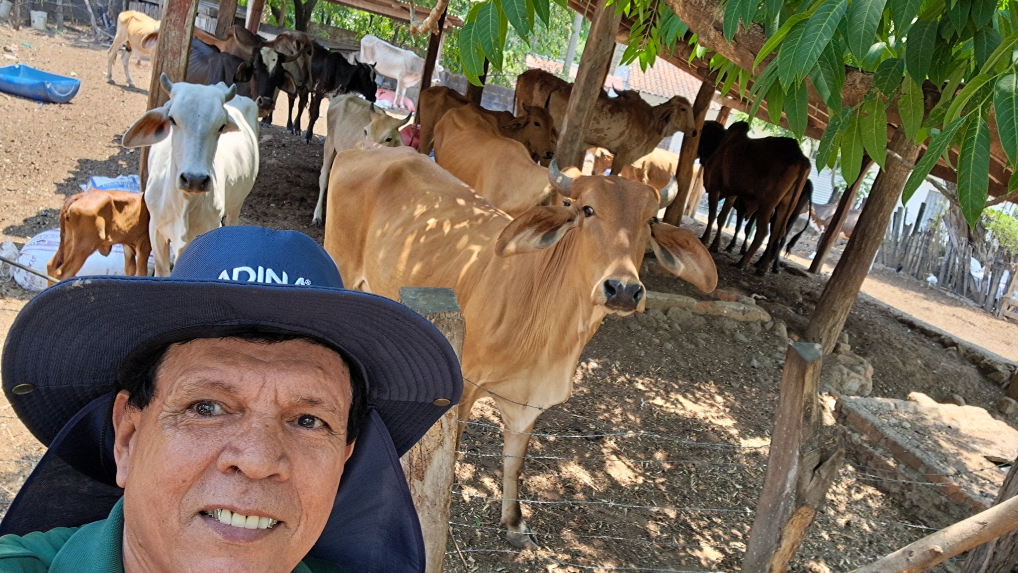 Más de 30 brigadas del MAG de El Salvador trabajan para proteger el hato ganadero ante la sequía y las olas de calor. (Cortesía: Viceministro Ad-Honorem del Ministerio de Agricultura y Ganadería, Óscar Domínguez)