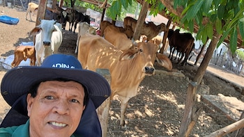 El Salvador: El MAG despliega brigadas para proteger el hato ganadero ante la sequía