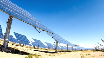 Numerosos paneles solares dispuestos en hileras sobre terreno seco, con un cielo azul despejado y algunos arbustos