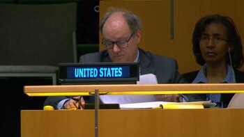 el representante de los Estados