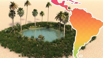 Dónde se encuentra el único