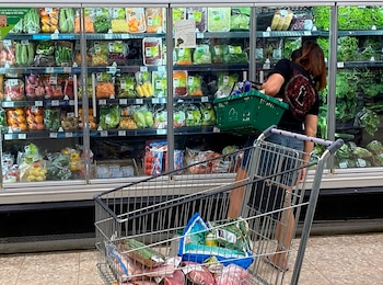 Las expectativas de recuperación de