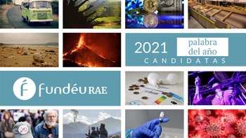 Criptomonedas, negacionista o vacuna: ¿cuál