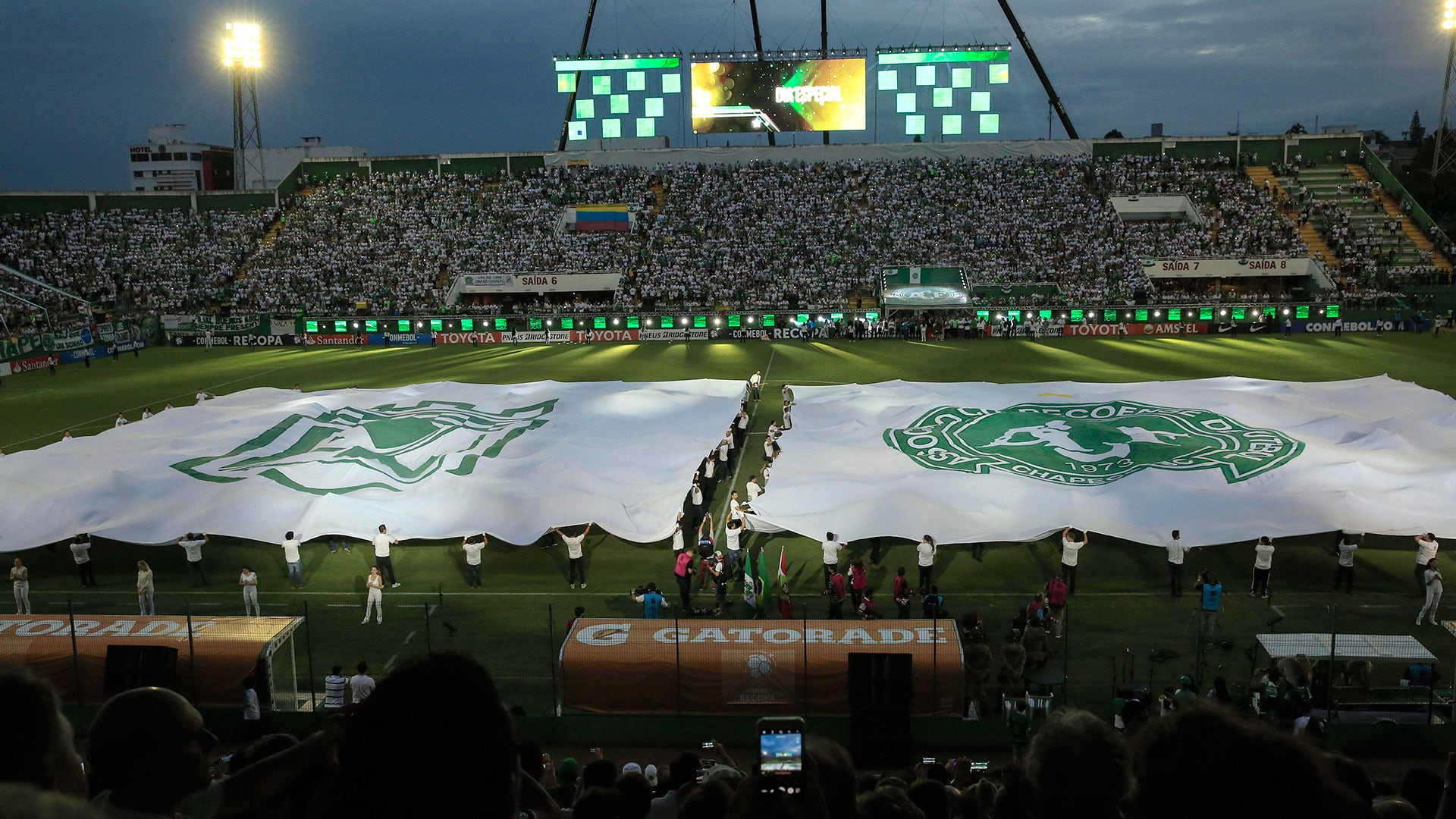 Se viene un nuevo amistoso para Atlético Nacional, ahora frente a Chapecoense en Medellín - crédito EFE
