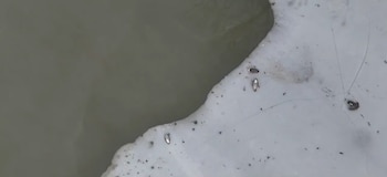 El lago Alcyon, cerrado al