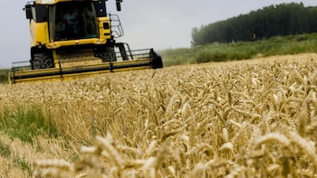 Los agricultores y ganaderos españoles perciben más del 70% del anticipo de las ayudas de la PAC