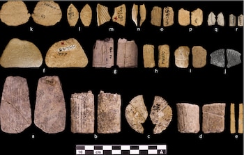 Una colección de veintiocho piezas arqueológicas de hueso o piedra clara, de diversas formas (redondas, ovaladas, rectangulares), dispuestas en filas sobre fondo oscuro, con marcas grabadas