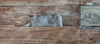 Un piso de madera con tablas deterioradas y un trozo de tela gris sobresaliendo de una ranura; a la derecha, una sección de metal con tornillos