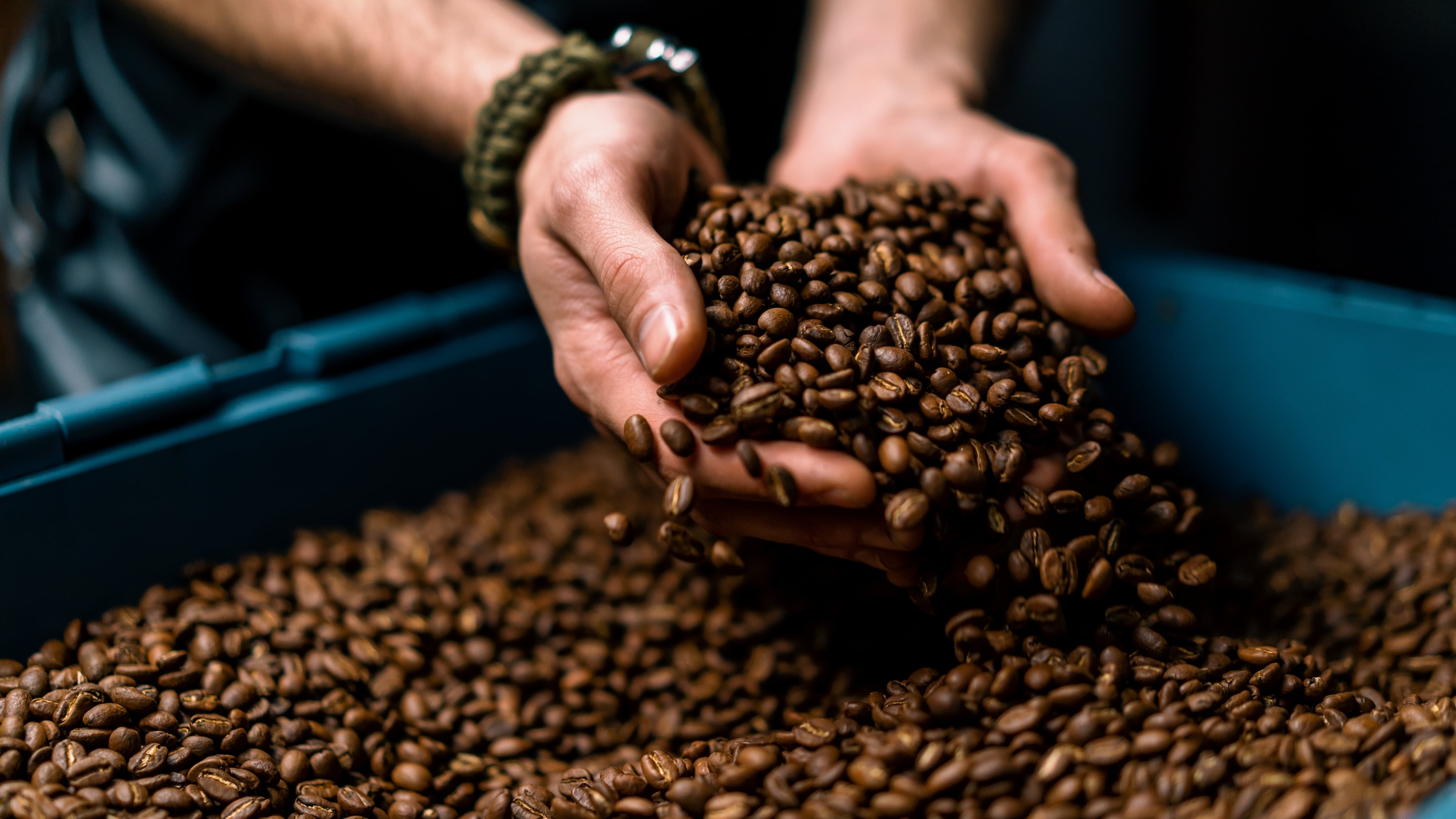 El café orgánico goza de gran aceptación en el mercado nacional e internacional. (Shutterstock)