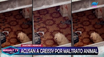 Greissy Ortega enfrenta acusaciones de presunto maltrato animal: vecinos difunden videos y audios. Captura: Magaly TV La Firme.