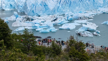 El Senado argentino aprueba una