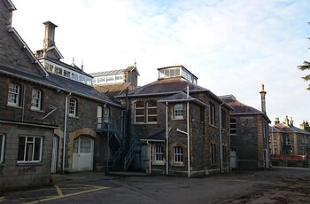 Arqueólogos desenterraron más de 4.500