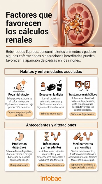 Infografía con un modelo de riñón con piedras, textos explicativos, seis paneles con iconos temáticos y el logotipo de Infobae al pie.