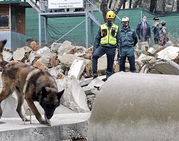 Un perro de la Guardia