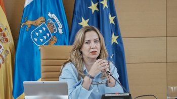 El Cabildo de Tenerife afea la "unilateralidad" de un Gobierno "soberbio" en su gestión del 'Mv Hondius'