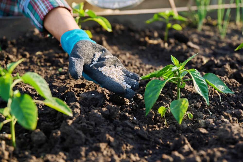 El Gobierno apuesta a que la producción favorezca la disponibilidad de insumos. (Foto: Shutterstock)