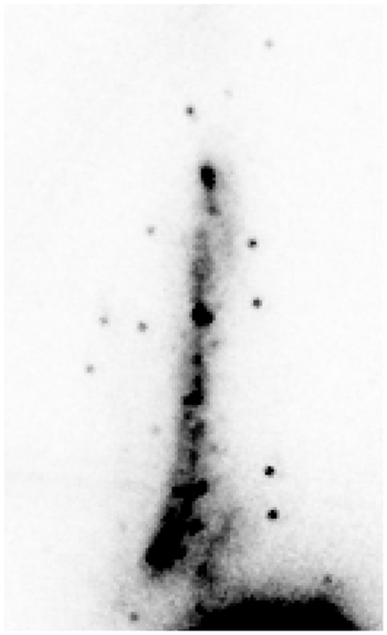 Foto de la galaxia The