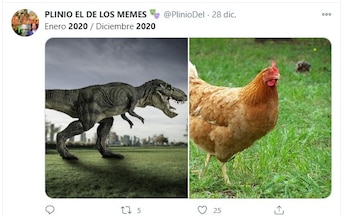 memes para despedir el 2020