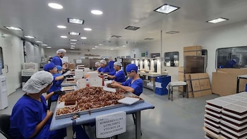 Fentanilo mortal: las falencias en