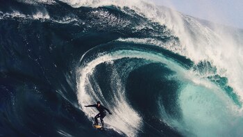 El surfista sobrevivió y terminó