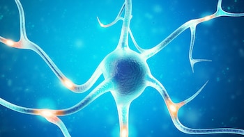 La enfermedad de Parkinson sigue