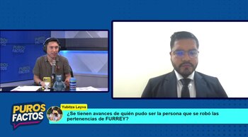 Ladrón de mochila de Furrey