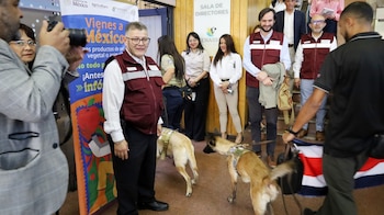 La estrategia conjunta se aplica en puntos turísticos clave como Nuevo Laredo, Reynosa, Cancún y Colombia, en preparación para el flujo internacional del Mundial. (Foto cortesía OIRSA)