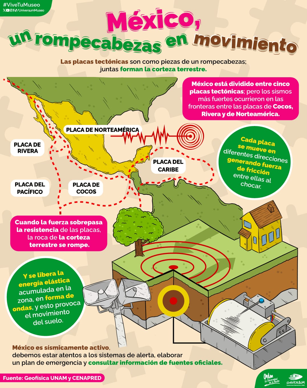 Estas son las placas tectónicas en México (Crédito: X/@UniversumMuseo)