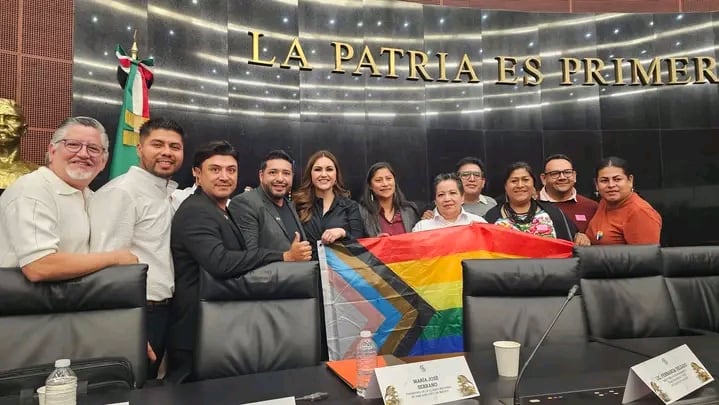 Propuestas ciudadanas buscan fortalecer derechos de la comunidad LGBTI+ en México. Foto: (Ricardo Gallardo en FB)