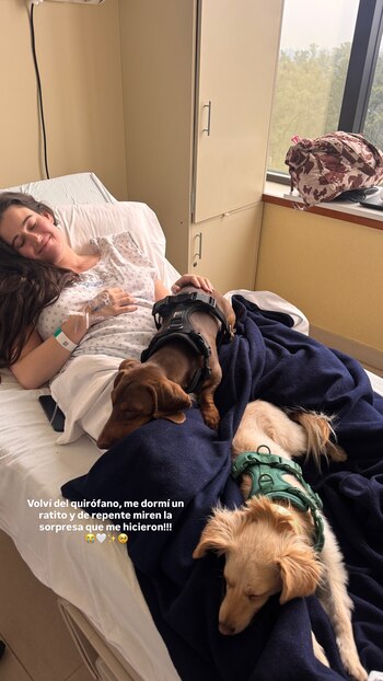 Mujer en bata de hospital con vía intravenosa en el brazo, recostada en cama de clínica con dos perros pequeños con arneses bajo una manta azul