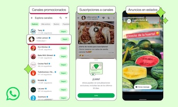 WhatsApp introduce anuncios en estados