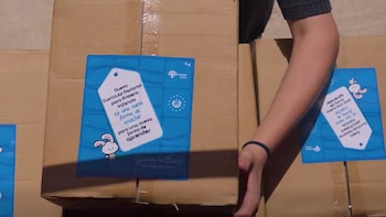 La primera dama anuncia la entrega de libros y materiales para todas las escuelas de primera infancia (Captura de pantalla de video)