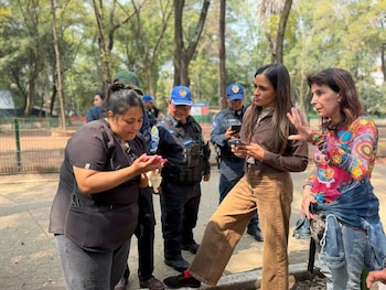Parque España Alcaldía Cuauhtémoc CDMX envenenamiento perros maltrato animal Alessandra Rojo de la Vega